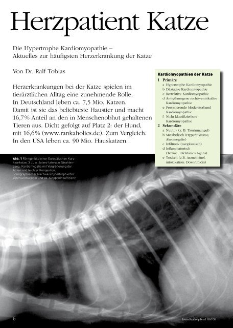 Herzpatient Katze - Dr. Ralf Tobias