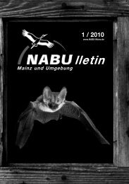 NABUlletin 01/2010 - NABU Mainz und Umgebung