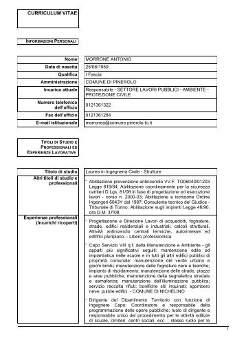 CURRICULUM VITAE -