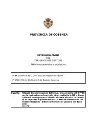 PROVINCIA DI COSENZA