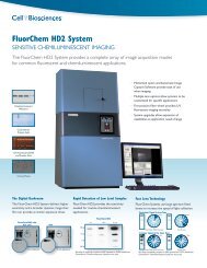 FluorChem HD2 System