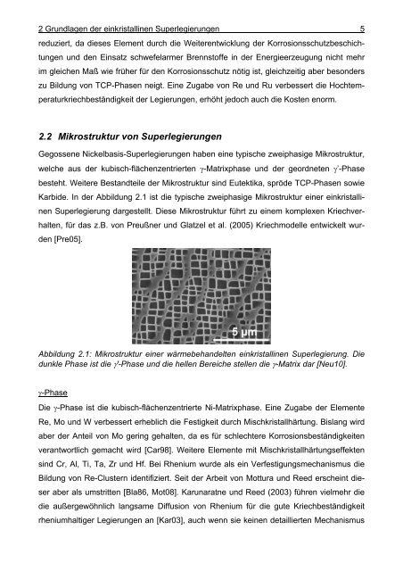 Mathematische Modellierung der Ausscheidung ... - OPUS-Datenbank