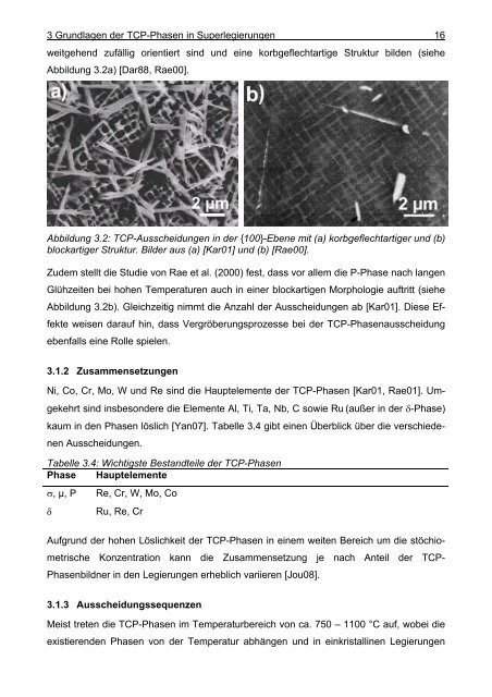 Mathematische Modellierung der Ausscheidung ... - OPUS-Datenbank