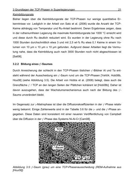 Mathematische Modellierung der Ausscheidung ... - OPUS-Datenbank