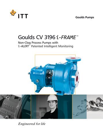 Goulds CV 3196