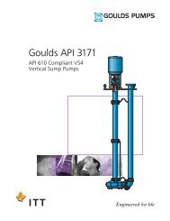 Goulds API 3171