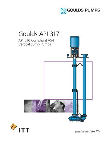 Goulds API 3171