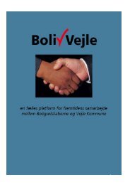 Helhedsplan for BolivVejle 2009 - 2012