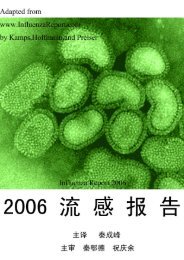 2006流感报告 - Influenza Report