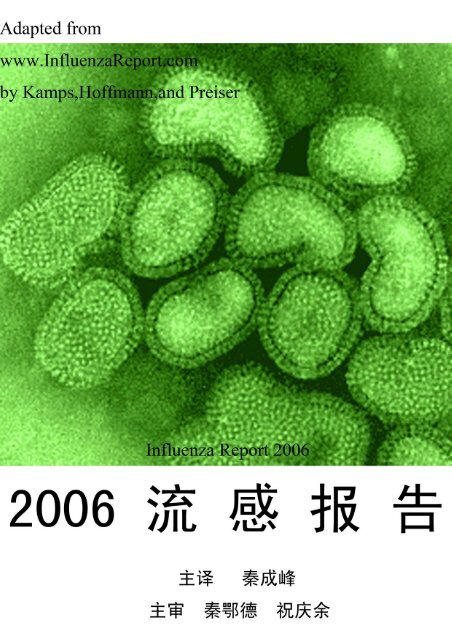 2006流感报告 - Influenza Report