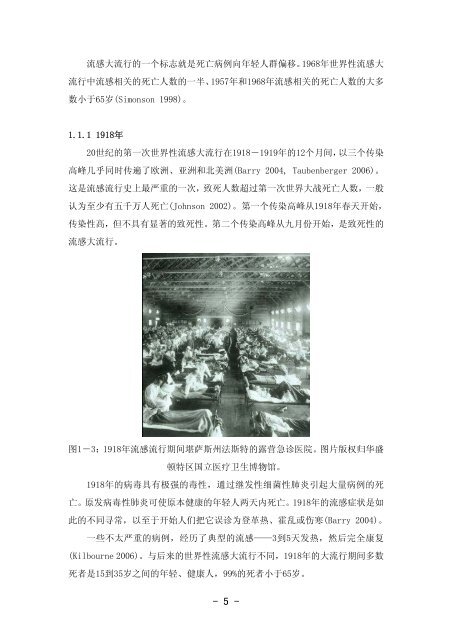 2006流感报告 - Influenza Report