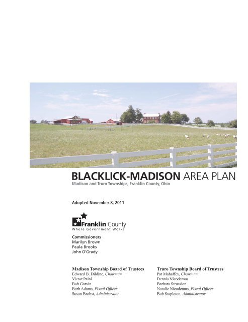BLACKLICK-MADISON AREA PLAN