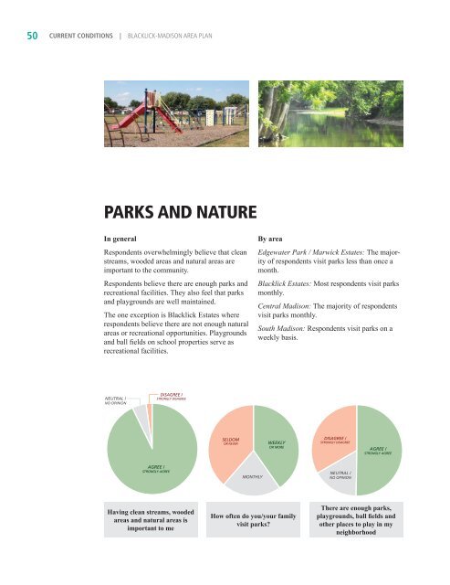 BLACKLICK-MADISON AREA PLAN