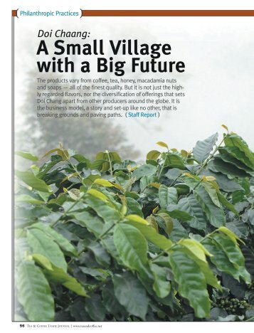 A Small Village with a Big Future - Doi Chaang Coffee