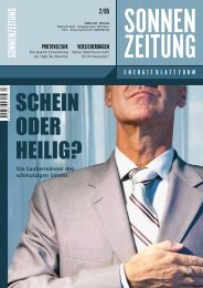 Die Saubermänner des schmutzigen Stroms - Sonnenzeitung