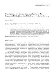 Reassignment of a Central American Species of the ...