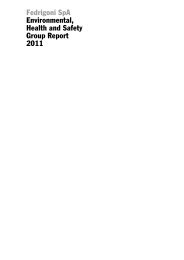 Environmental, Health and Safety Group Report 2011 (PDF - Fedrigoni