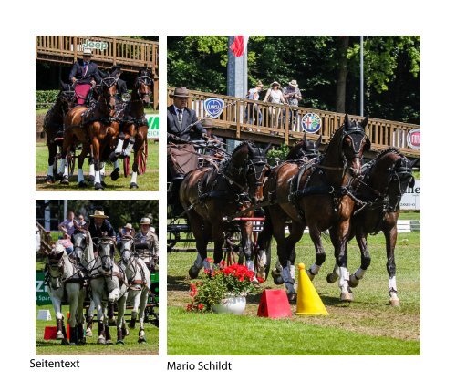 Riesenbeck International 2015