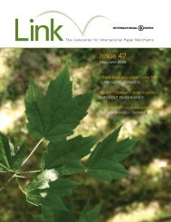 Issue 42 - International Paper