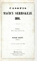 MAĆICY SERBSKEJE 1891