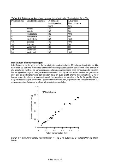 modellen analyser analysemetode modelparametre repræsenteret pesticidudvaskning