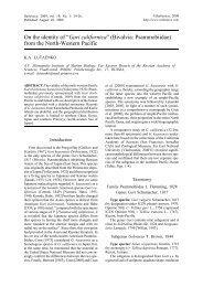 Gari californica - Ruthenica, Russian Malacological Journal