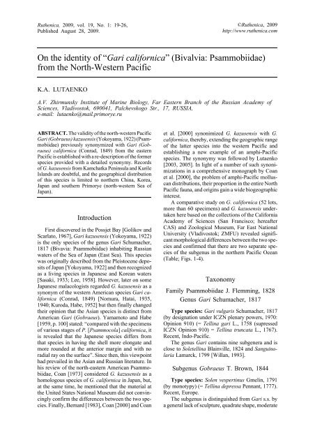 Gari californica - Ruthenica, Russian Malacological Journal