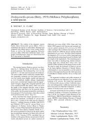 Deshayesiella spicata - Ruthenica, Russian Malacological Journal