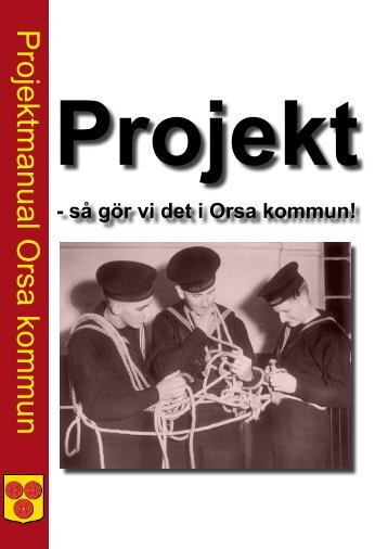 Projektmanual