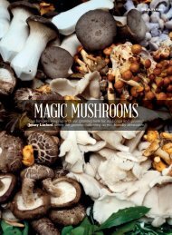 MAGIC MUSHROOMS