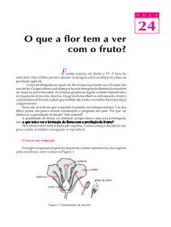 O que a flor tem a ver com o fruto?