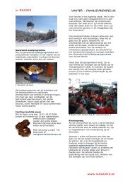 Winter-info als PDF downloaden - in RAURIS