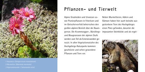 Geologie - Zillertal