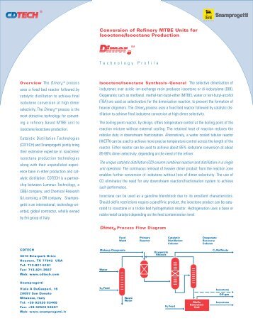 converting experience catalytic partnership Snamprogetti technology-oriented