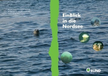 EinBlick in die Nordsee - BUND für Umwelt und Naturschutz ...