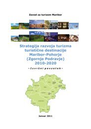 Strategija razvoja turizma turistične destinacije Maribor-Pohorje ...