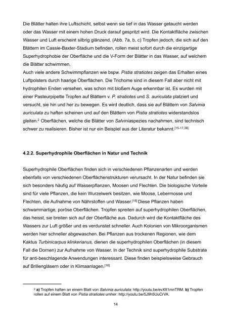 Wilhelm Projektarbeit 2012 - Institut Dr. Flad
