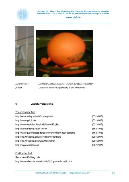 Projektarbeit Schulversuche in der Mikrowelle - Institut Dr. Flad