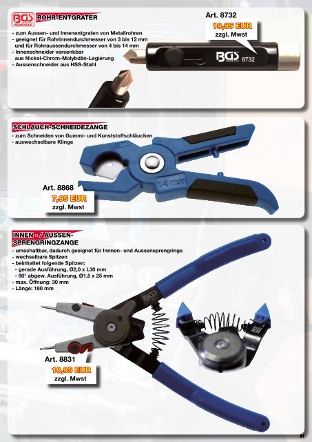 BGS_Werbeflyer_DE.pdf