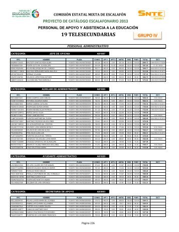 19 TELESECUNDARIAS