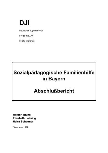 Sozialpädagogische Familienhilfe in Bayern Abschlußbericht