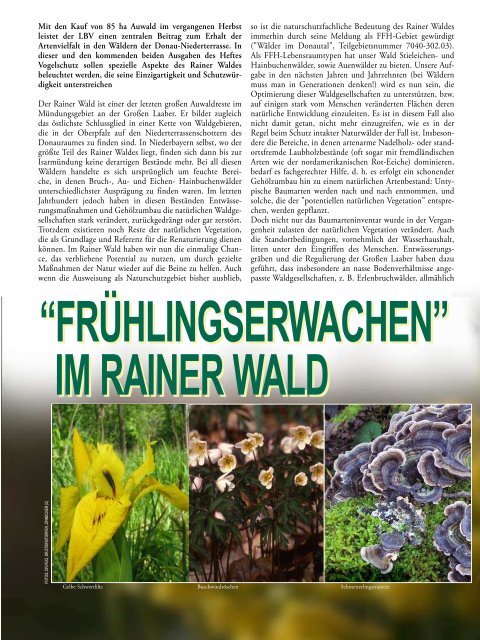 Vogelschutz-Sonderheft Rainer Wald - Der Rainer Wald