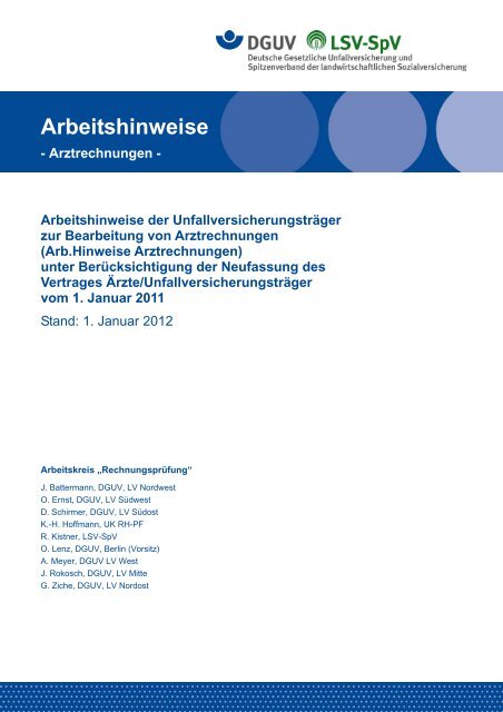 Arbeitshinweise zur Rechnungsprüfung - Deutsche Gesetzliche ...