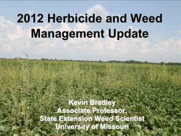 2012 Herbicide and Weed Management Update