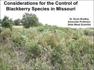 Blackberry Species in Missouri