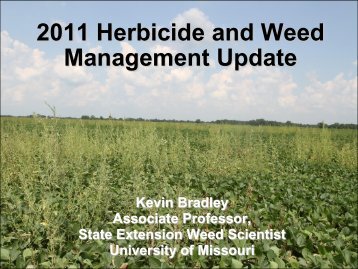 2011 Herbicide and Weed Management Update
