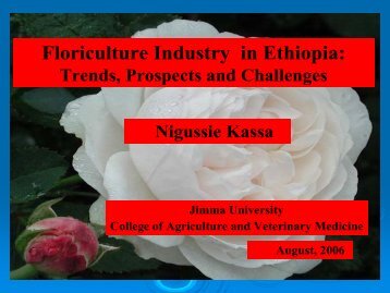 Floriculture Industry in Ethiopia