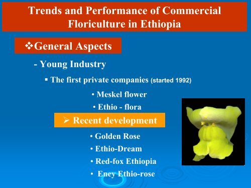 Floriculture Industry in Ethiopia