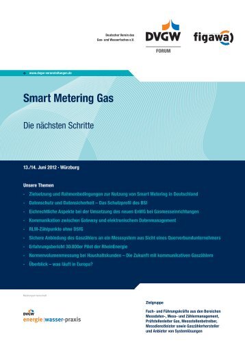 Smart Metering Gas - DVGW - Deutscher Verein des Gas