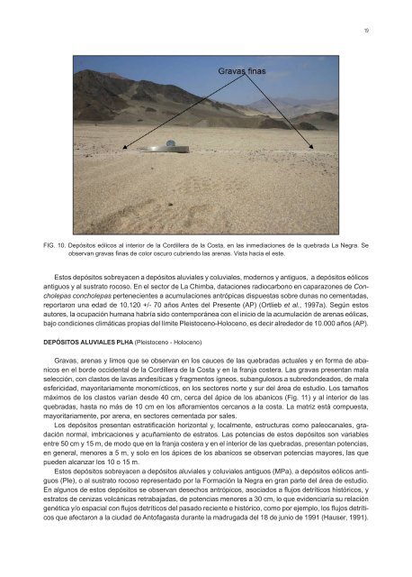 GEOLOGÍA PARA EL ORDENAMIENTO TERRITORIAL ÁREA DE ANTOFAGASTA